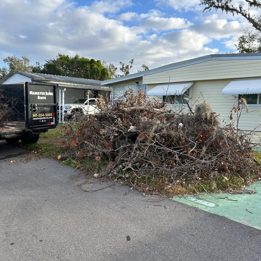 Yard debris removal, before